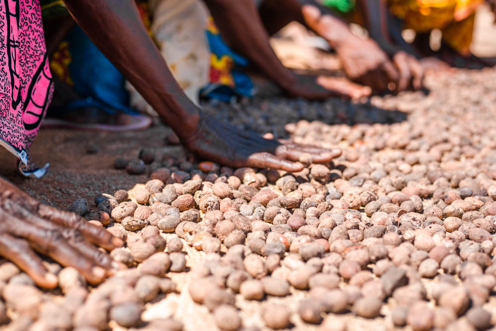 Call for Proposals for the Development of Inclusive Trade for Shea Kernels Value Chain